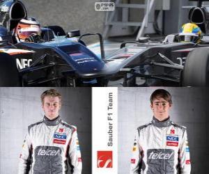Puzzle Sauber F1 Team 2013